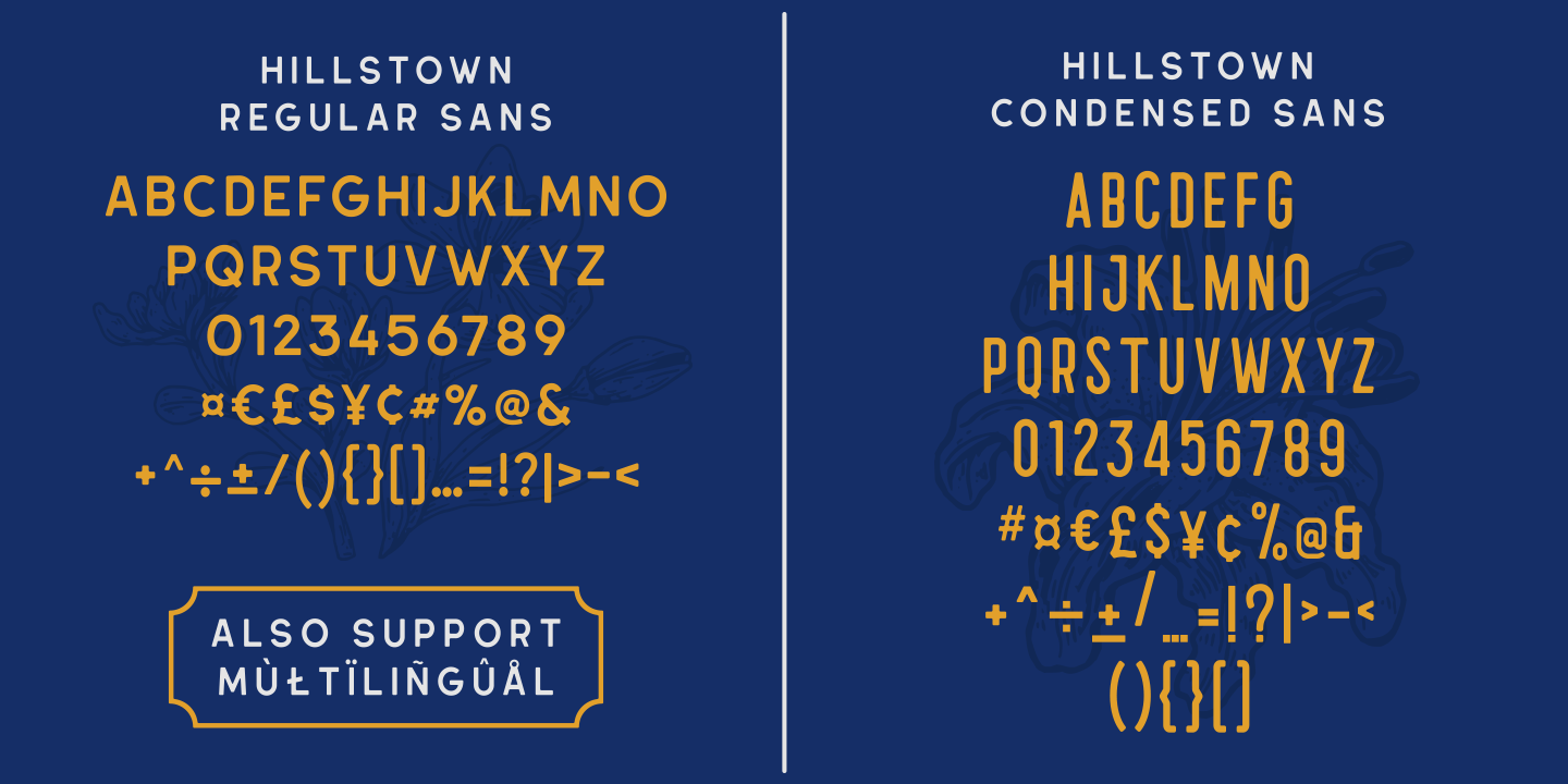 Hillstown Sans Aged Font preview